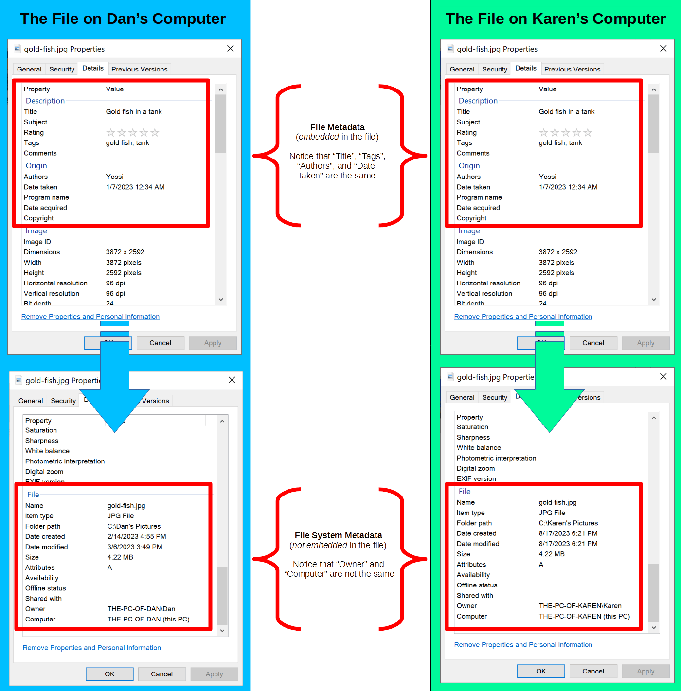 Screenshots of the Windows File Properties Viewer demonstrating the difference between File Metadata and File System Metadata